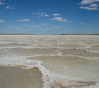 Соленые соты на озере