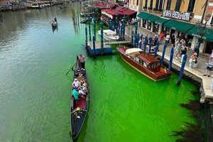 В Венеции позеленел Гранд-канал. Что случилось?
