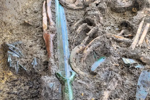 В Германии нашли меч возрастом 3000 лет. Он сохранился так хорошо, что даже блестит