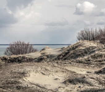 Берег залива