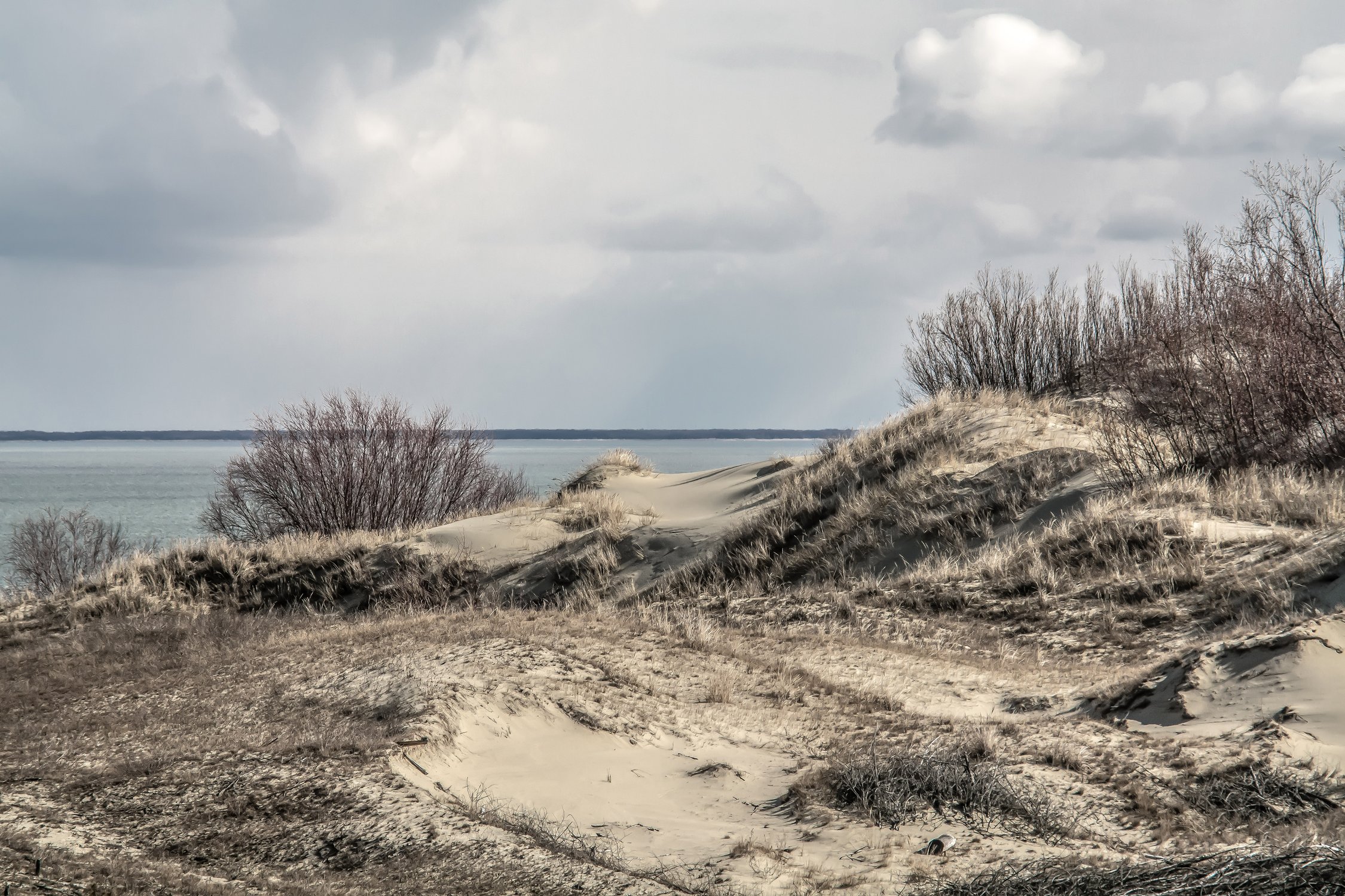 Берег залива