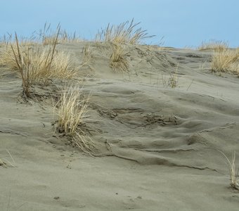 Балтийские пески