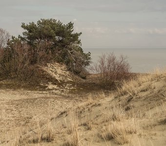 Путь к морю