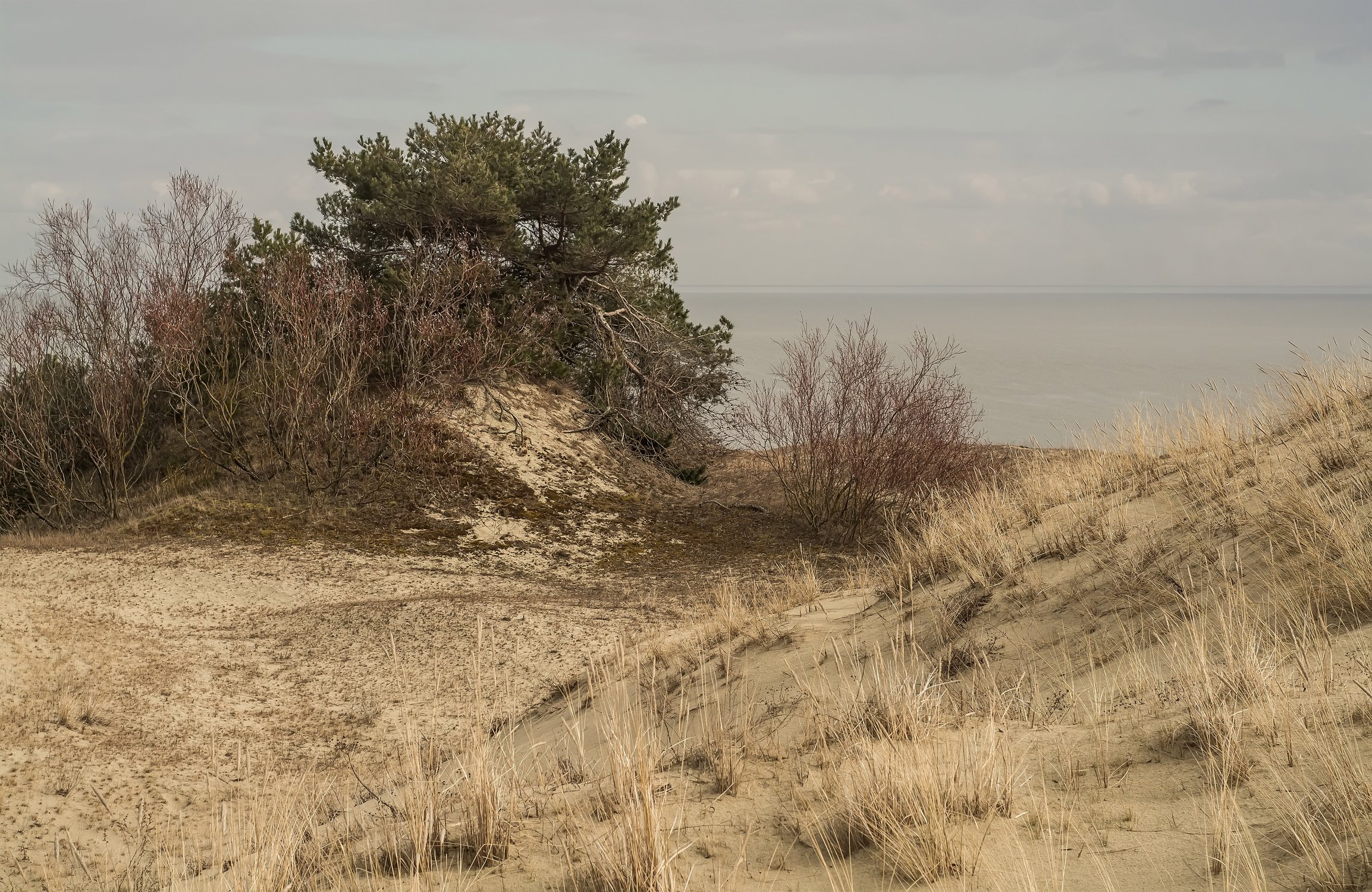 Путь к морю