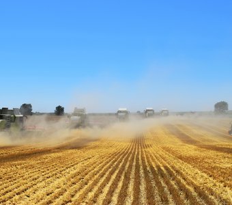 Любимые просторы