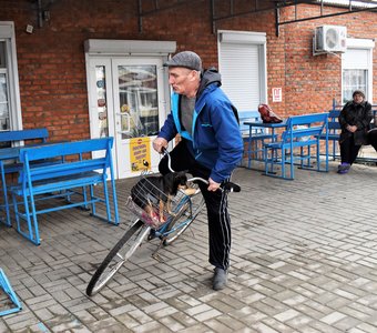 Без Кнопы никуда!