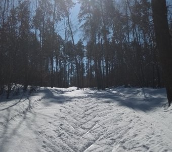 Лыжные ходы