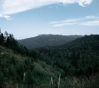 Старый лес на Олхинском плато