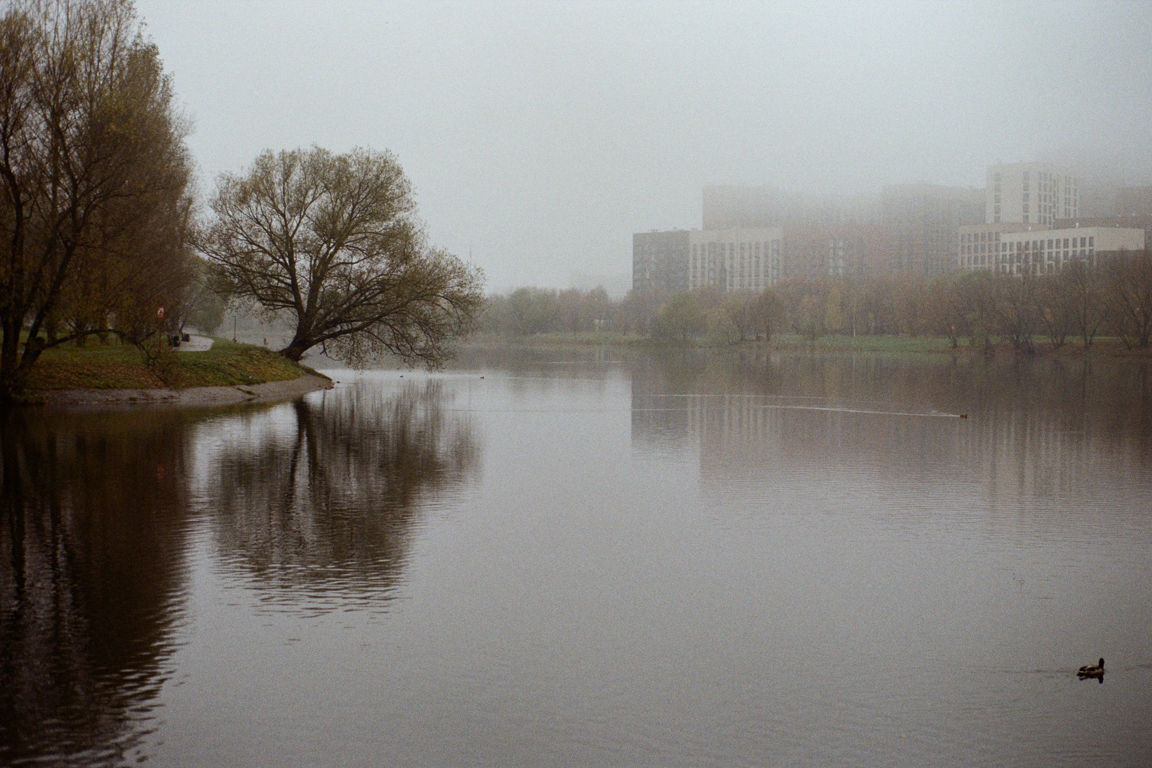 беловежский пруд москва