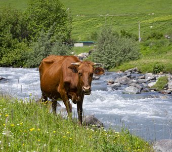 Сельская жизнь в горах
