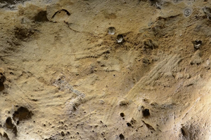 Кто начертил эти наскальные рисунки 75 тысяч лет назад?