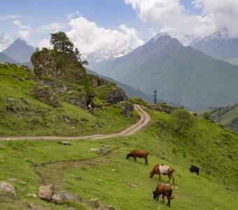Сельская жизнь в горах
