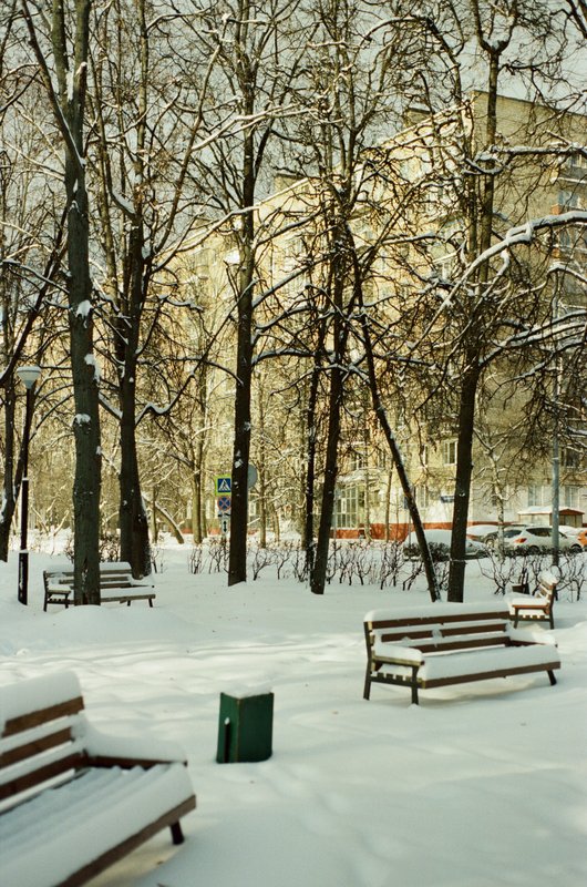 Москва сиреневый бульвар