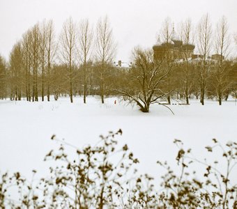 Вид на Храм Пресвятой Богородицы на Измайловском острове. Москва