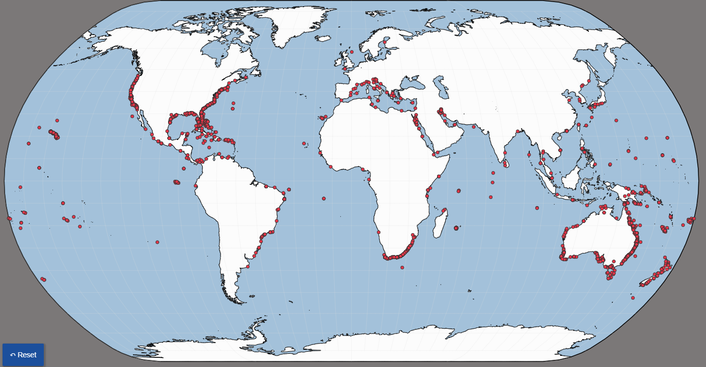 Фото: International Shark Attack