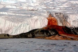 Ученые разгадали загадку кровавых водопадов в Антарктиде