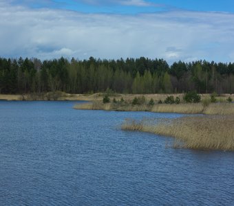 Малый водный карьер возле леса