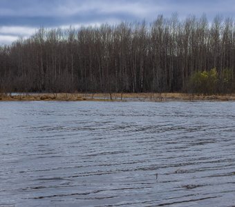 Река Большой Пучкас пасмурным апрельским днём