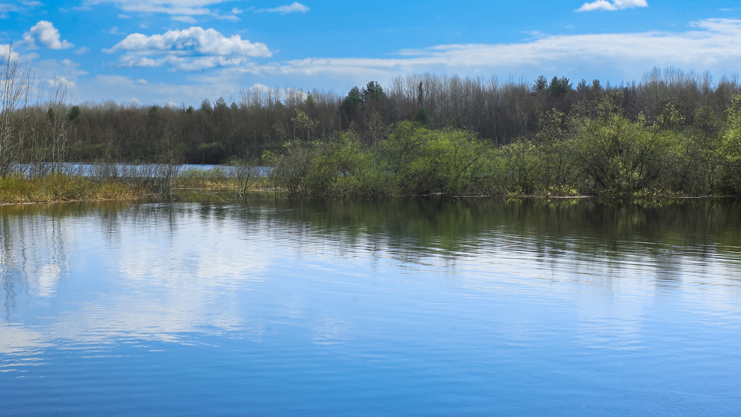 Река большая вода