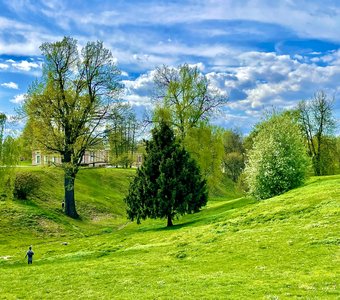 Живая картина