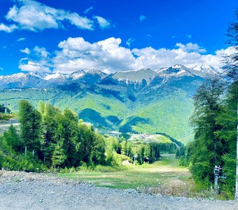 Живая картина