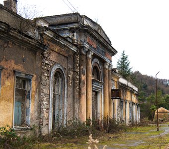 Посетители станции - трава и деревья