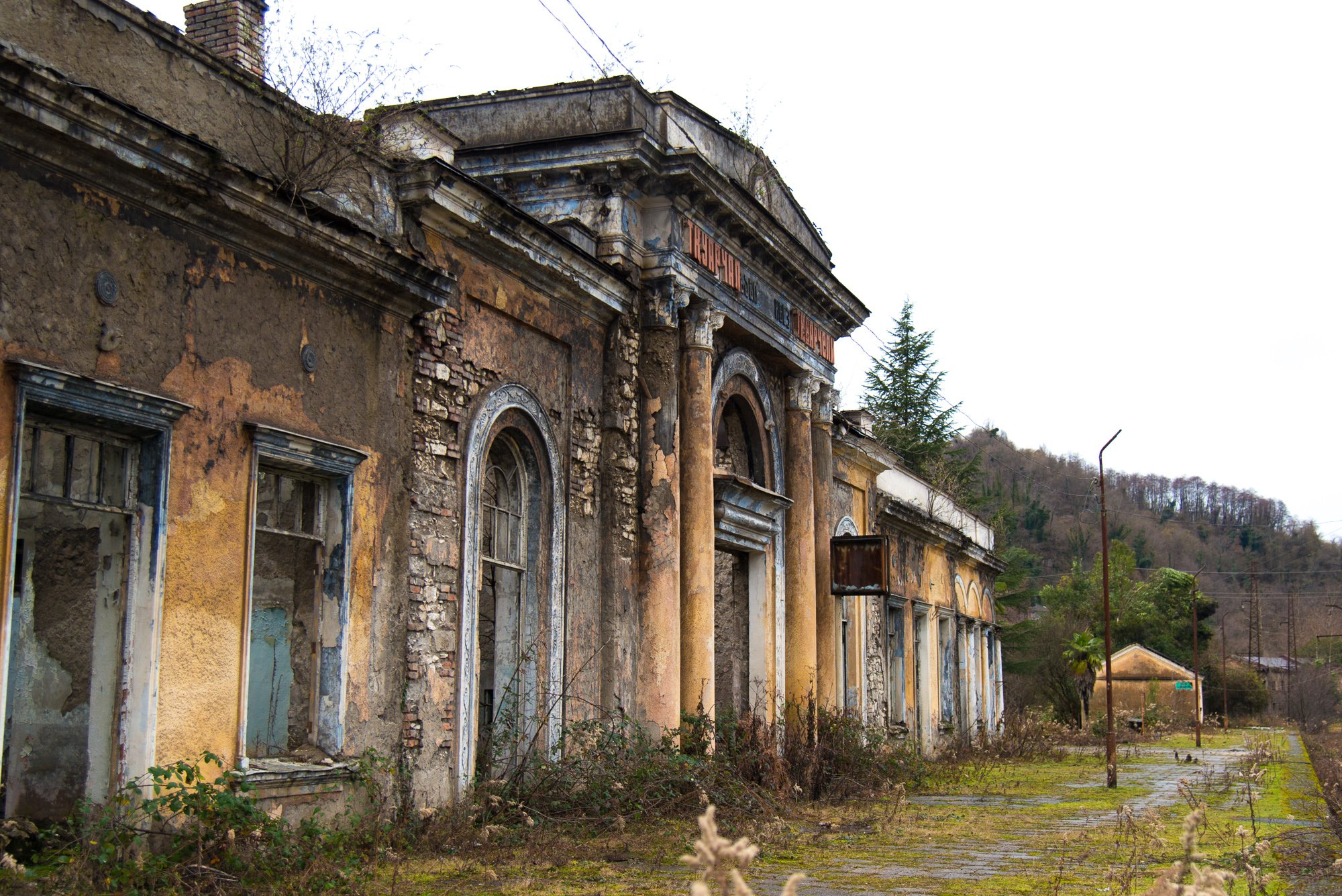 Посетители станции — трава и деревья