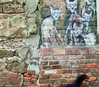 Взгляд старины