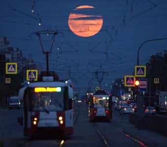 Лунные Трамвайчики в Купчининское Полнолуние🔭