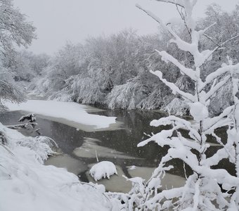 Рисунок природы