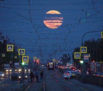 Луна взошла над Бухарестской улицей🔭