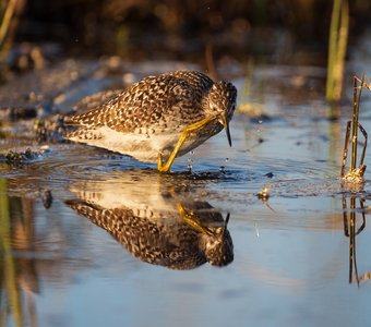 Водные процедуры