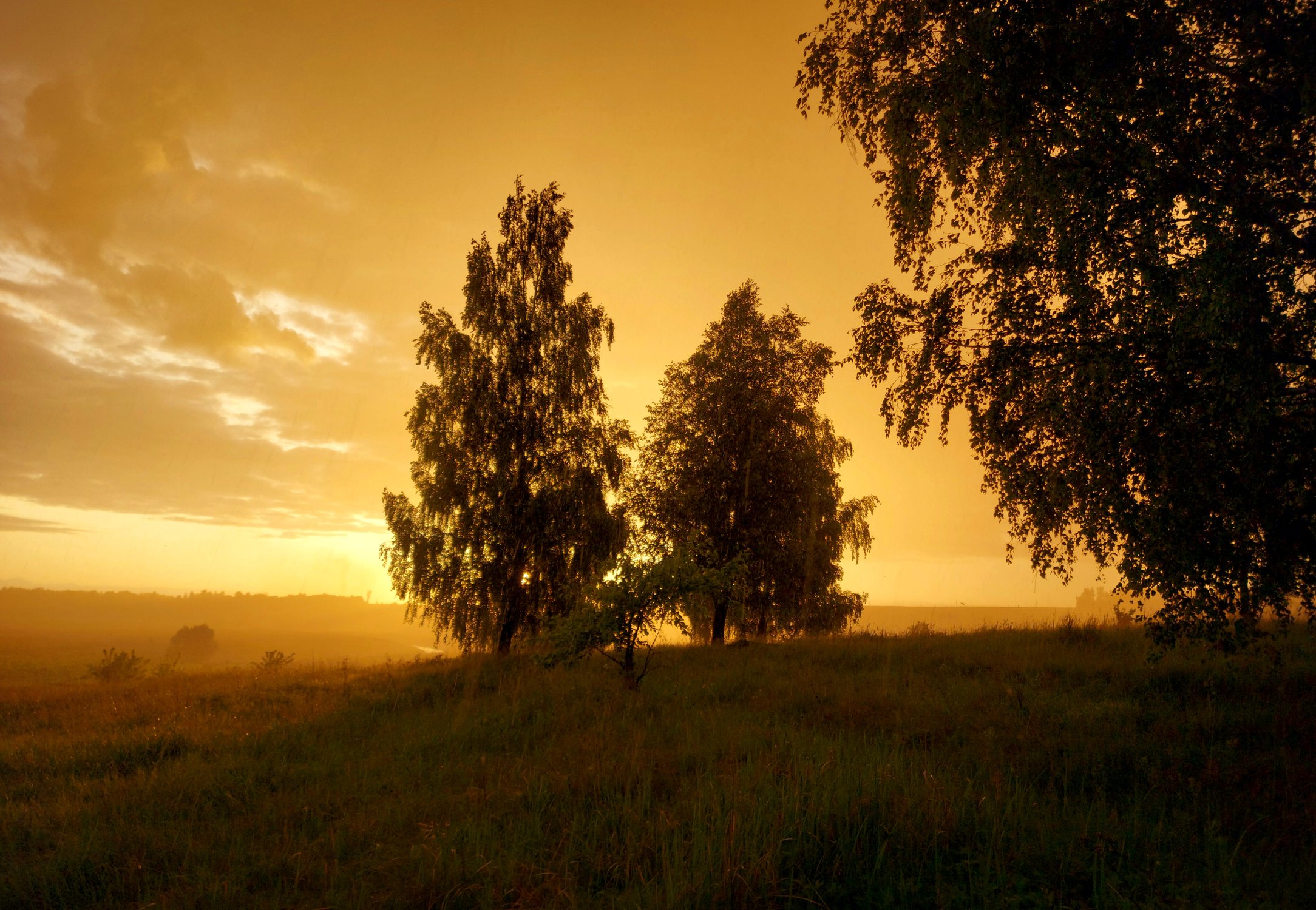 Июньский дождь