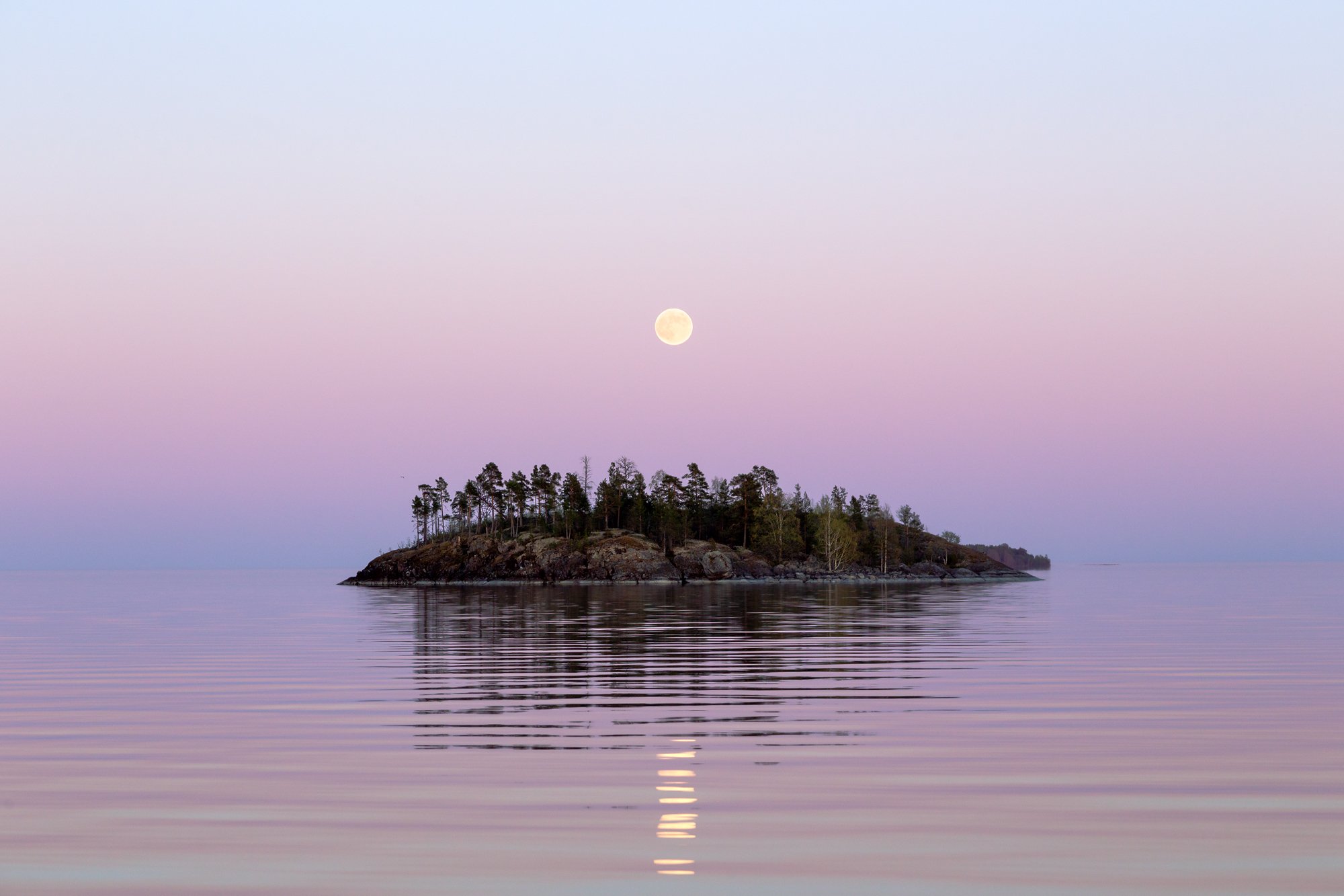 Невесомость