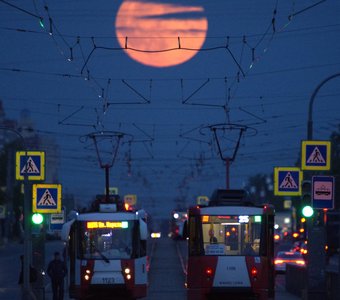 Лунные Трамвайчики в Купчининское Полнолуние🔭