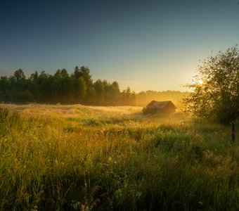 Утро на окраине деревни