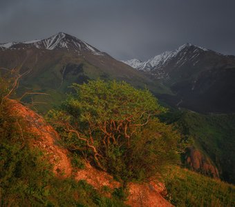 Ущелье Шамси на закате 4. Кыргызстан.