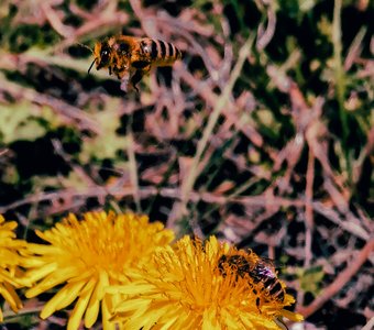 Жизнь вокруг нас, внутри нас