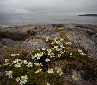 Красота в буре