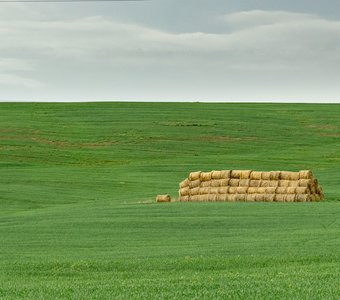 Поле в Удмуртии