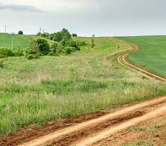 Дорога в поле