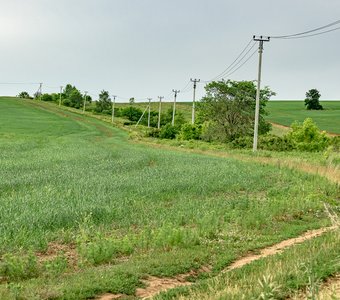 Поля Удмуртии