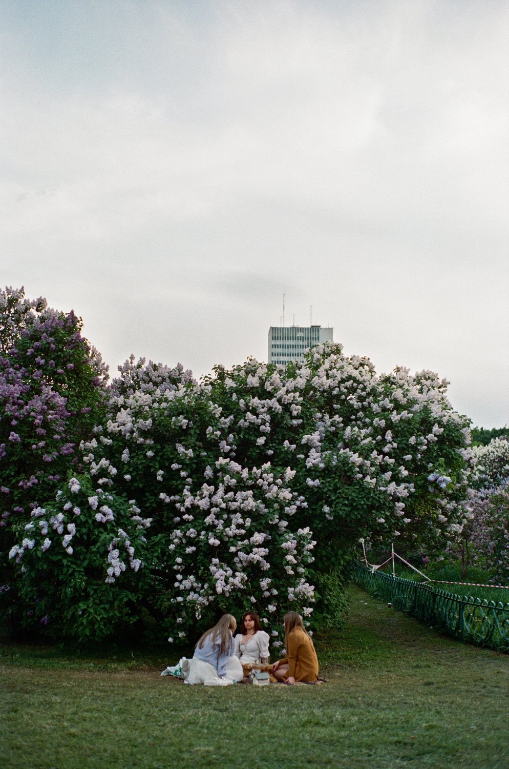 Пикник в Сиреневом саду. Измайлово, Москва