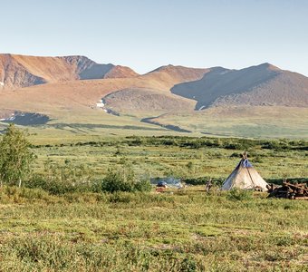 В тундре летом