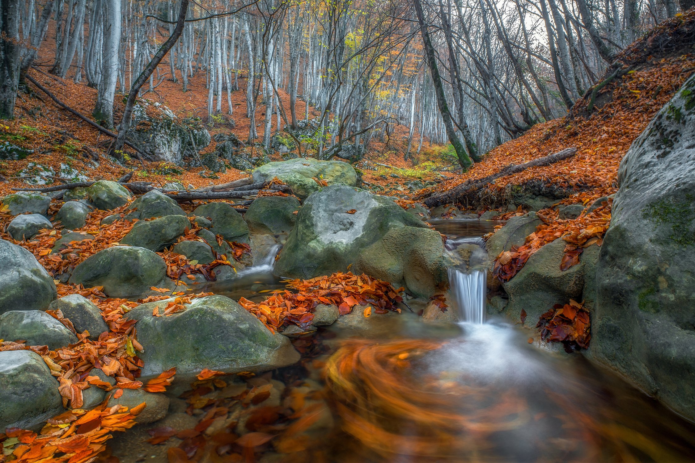 Осенний круговорот