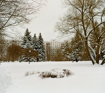 Охотники на снегу. Сиреневый сад, Москва