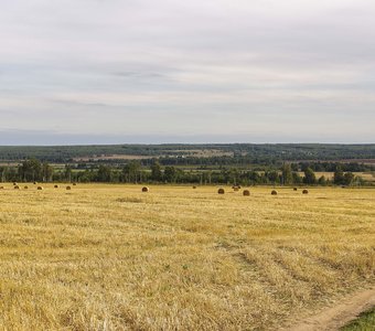 Русское поле