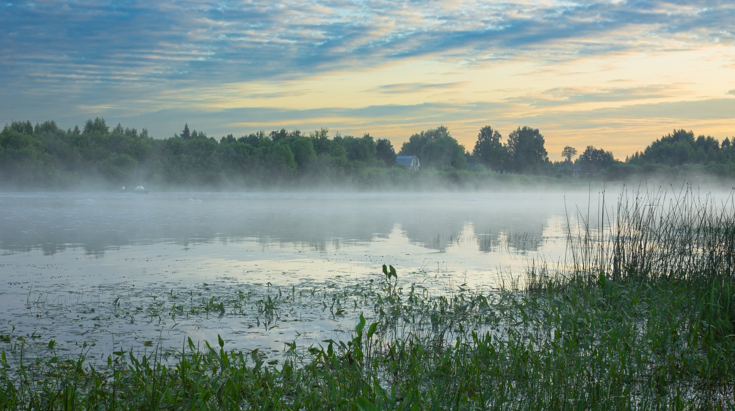 Раннее июньское утро у реки Сухона