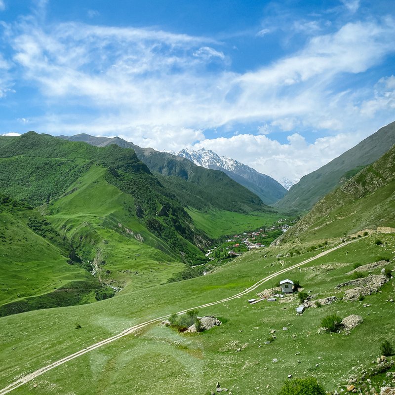 Бергамот Кабардино Балкария