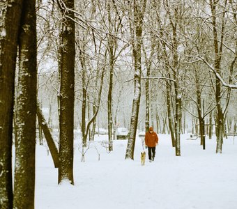 Охотники на снегу. Измайлово, Москва